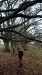 wp_20171124_11_43_39_pro