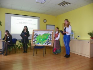 projektiniai